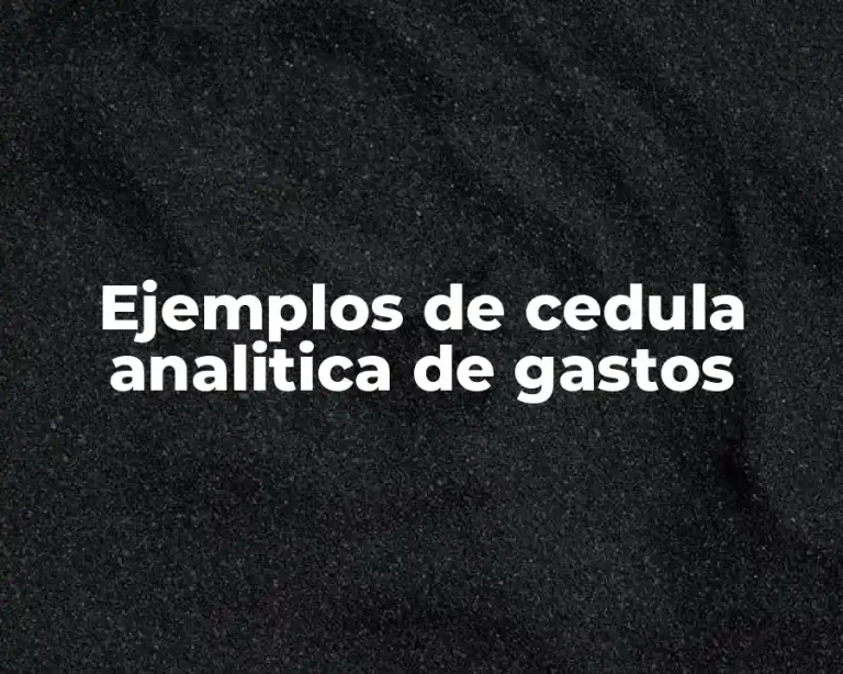 Ejemplos de cedula analitica de gastos
