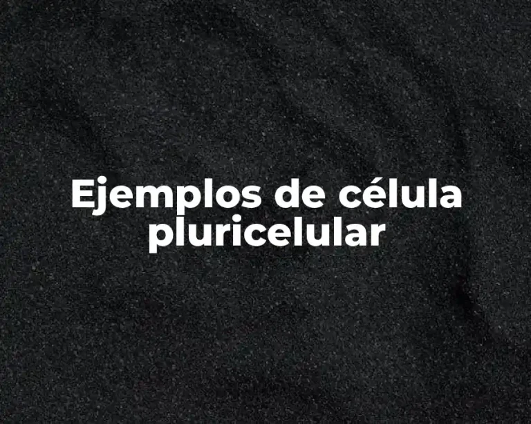 Ejemplos de célula pluricelular