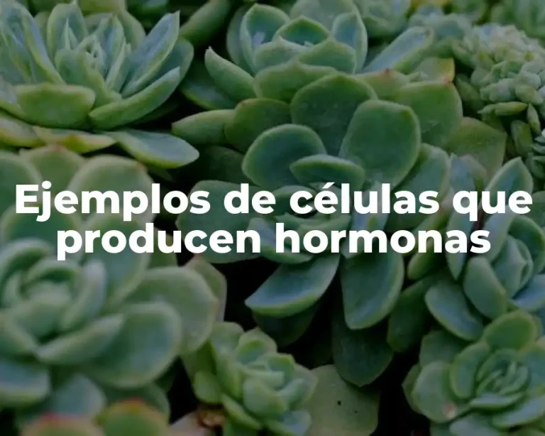 Ejemplos de células que producen hormonas