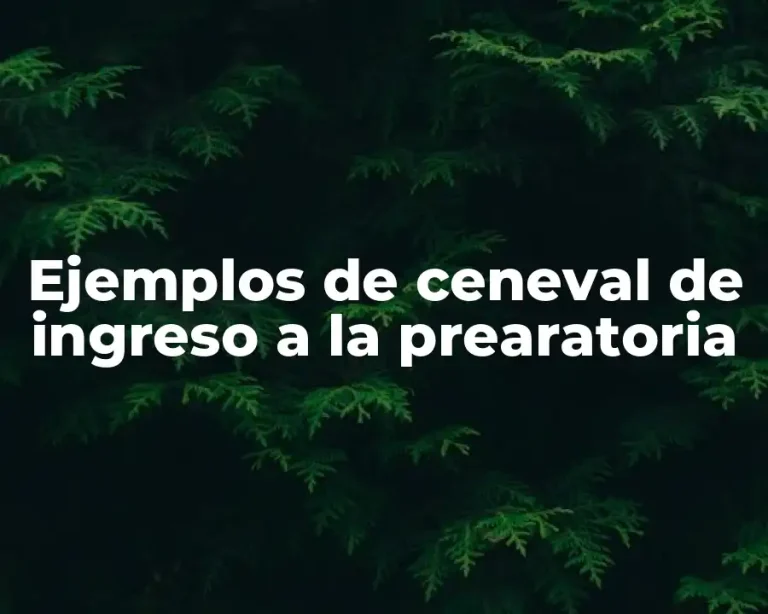 Ejemplos de ceneval de ingreso a la prearatoria