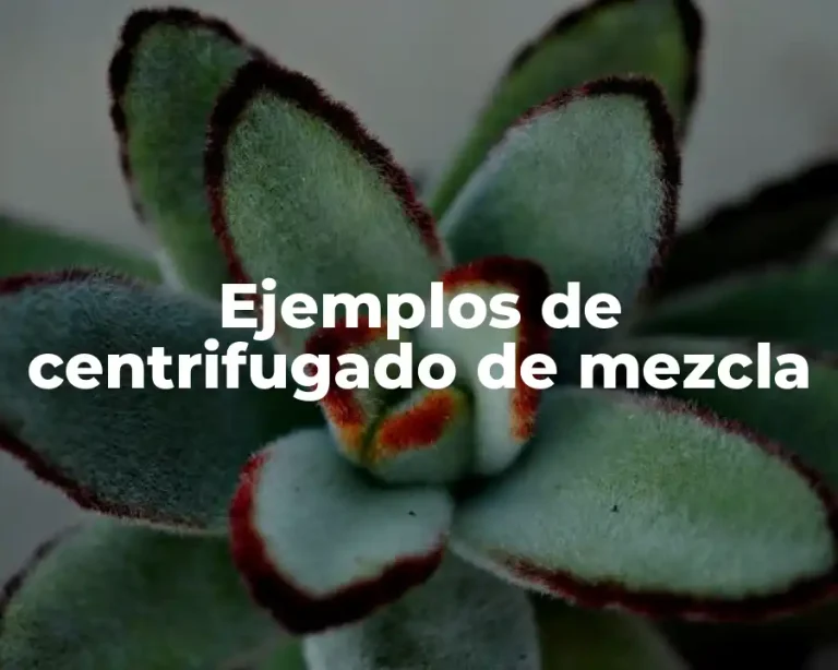 Ejemplos de centrifugado de mezcla