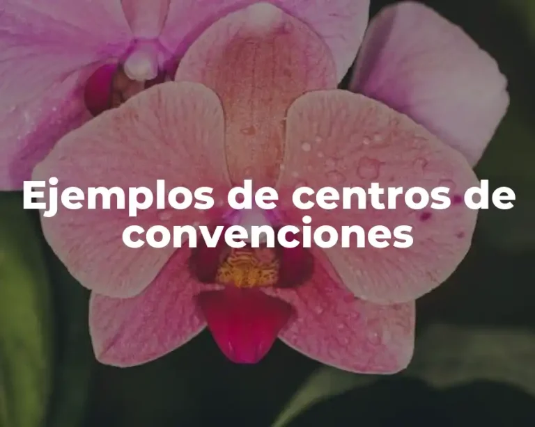Ejemplos de centros de convenciones
