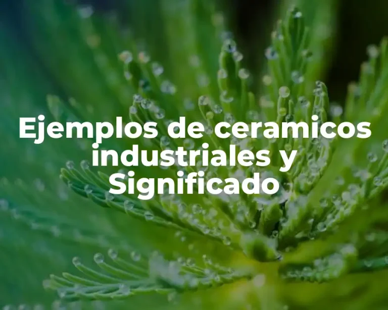 Ejemplos de ceramicos industriales y Significado