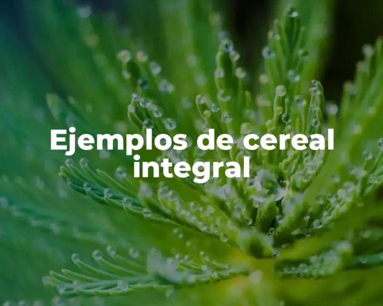Ejemplos de cereal integral