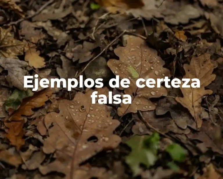 Ejemplos de certeza falsa