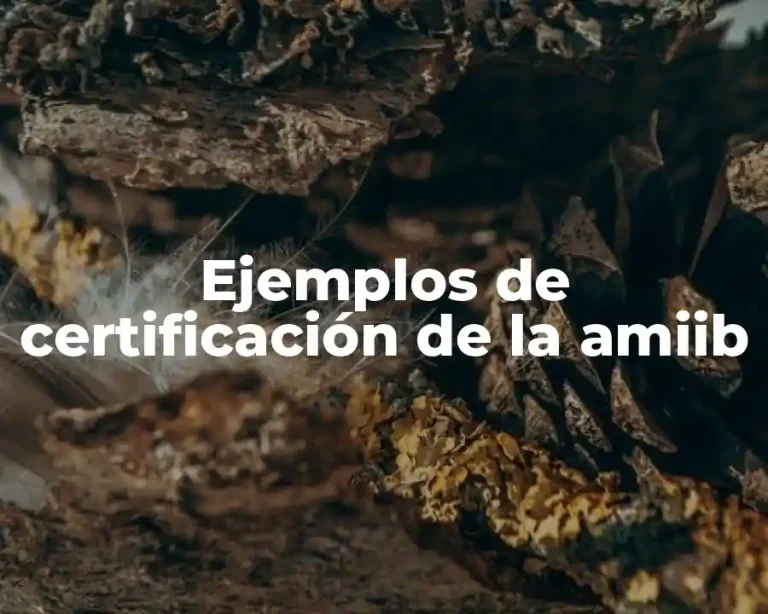 Ejemplos de certificación de la amiib