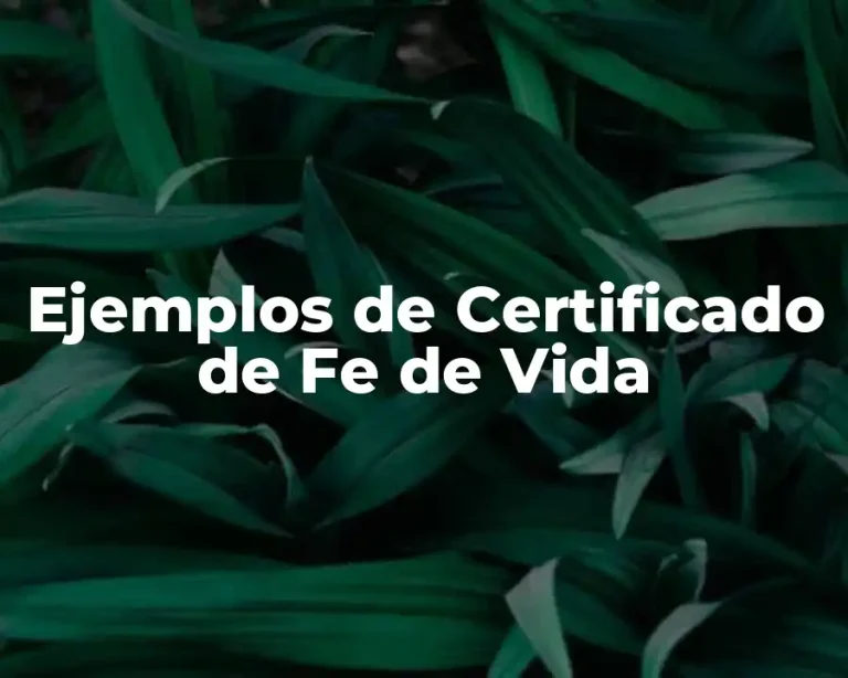 Ejemplos de Certificado de Fe de Vida
