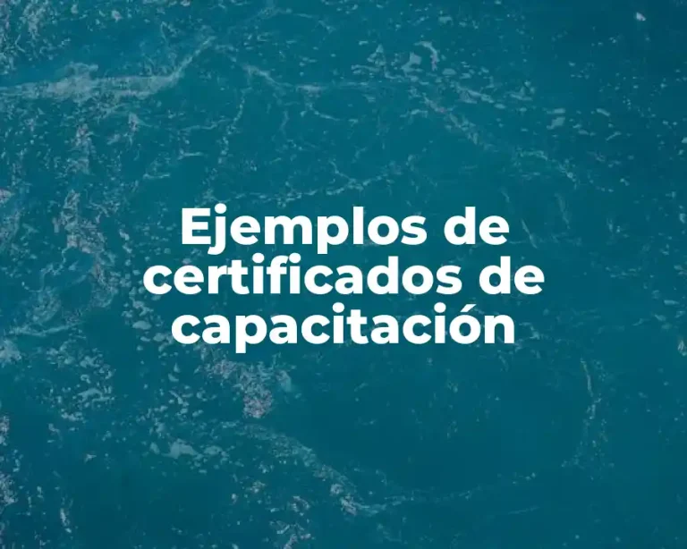 Ejemplos de certificados de capacitación