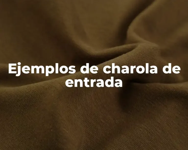 Ejemplos de charola de entrada