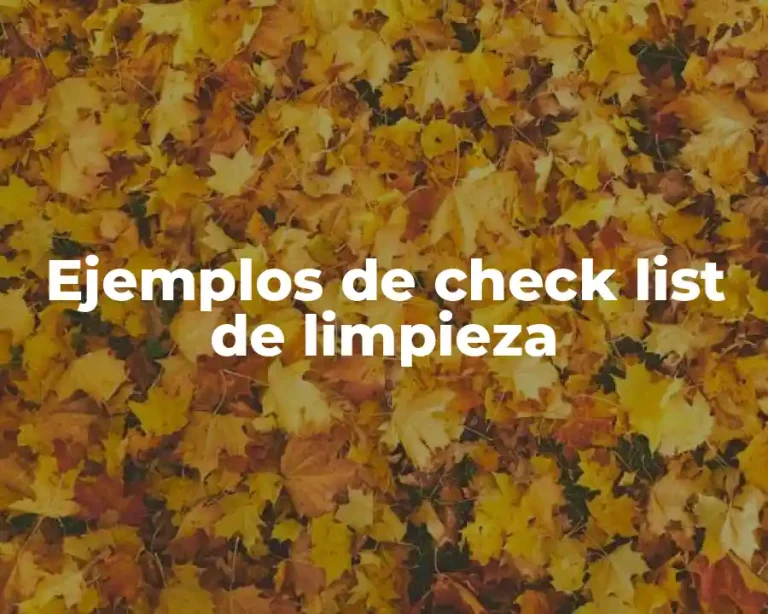 Ejemplos de check list de limpieza