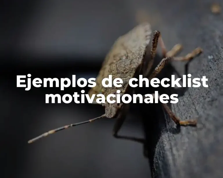 Ejemplos de checklist motivacionales