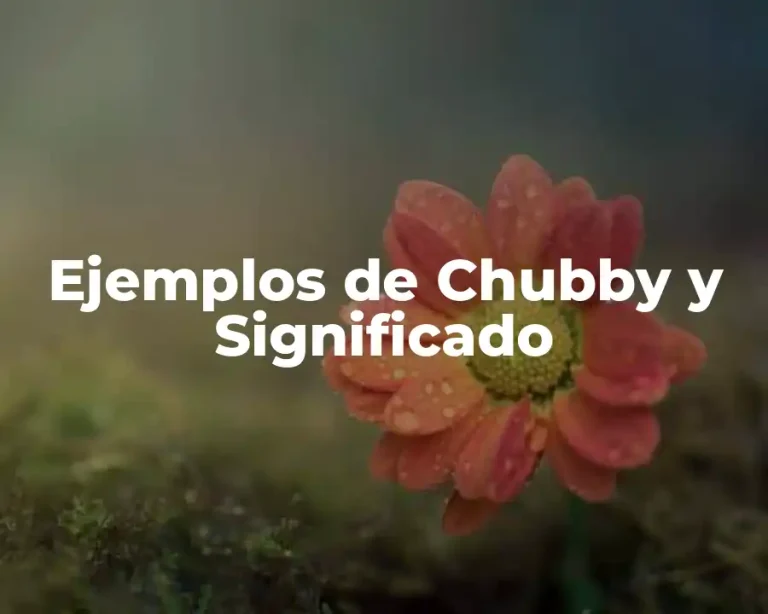 Ejemplos de Chubby y Significado