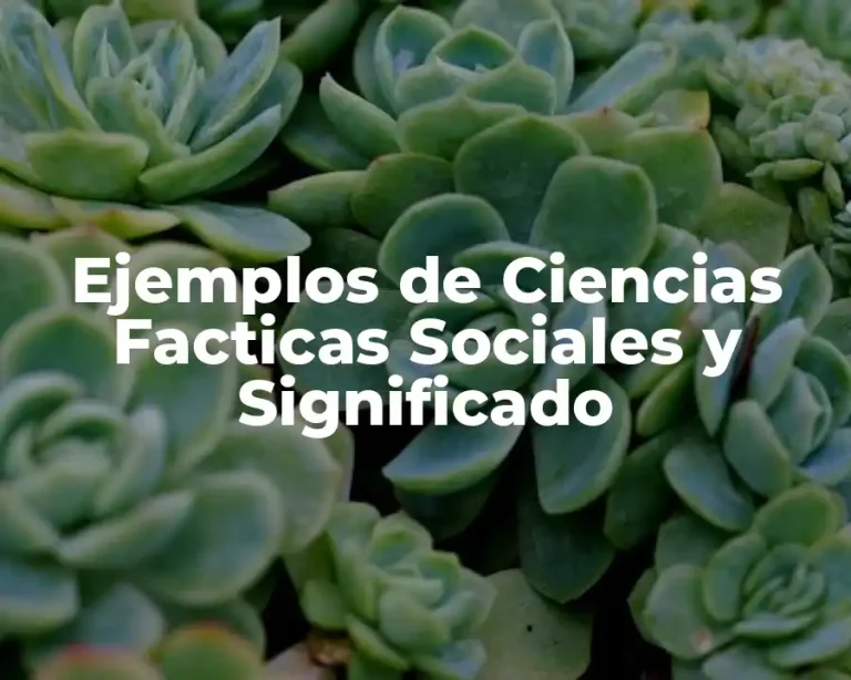 Ejemplos de Ciencias Facticas Sociales y Significado