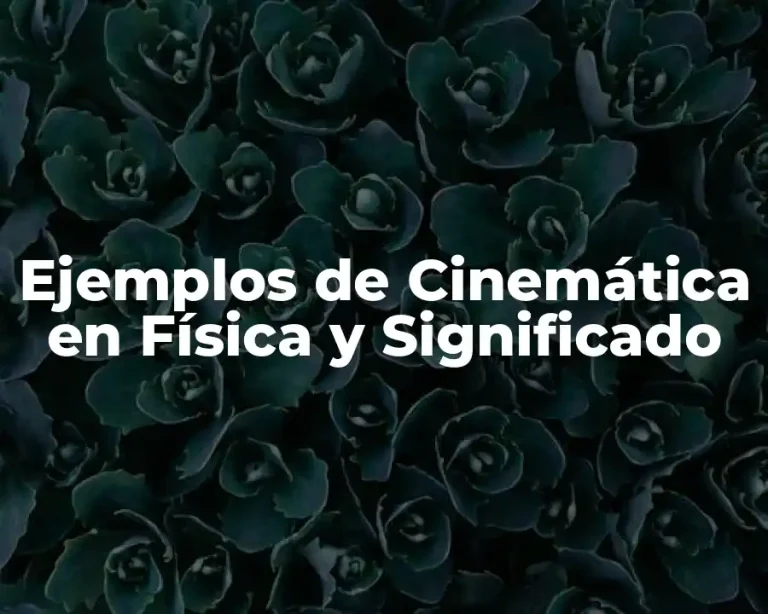 Ejemplos de Cinemática en Física y Significado