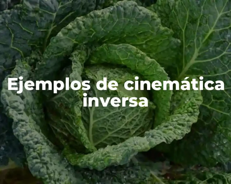Ejemplos de cinemática inversa