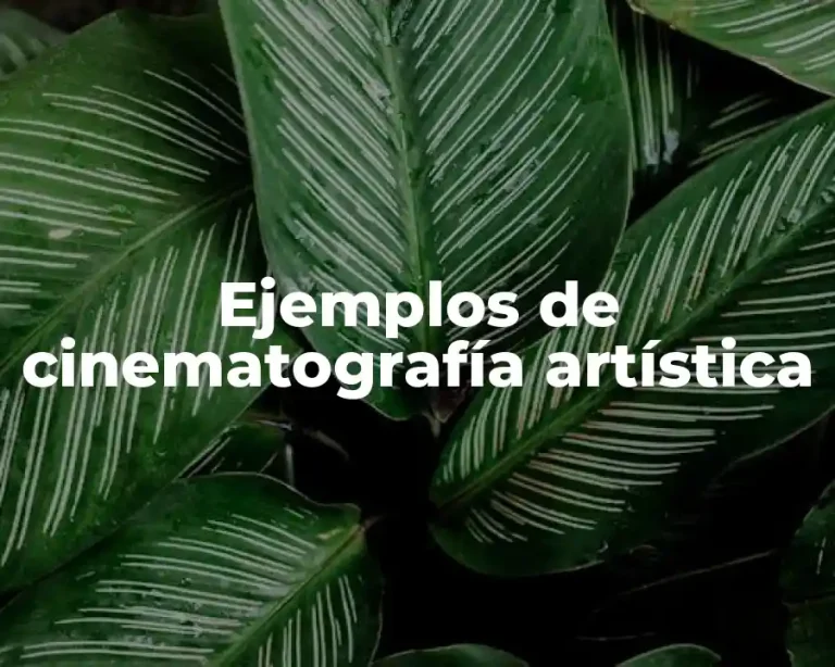 Ejemplos de cinematografía artística