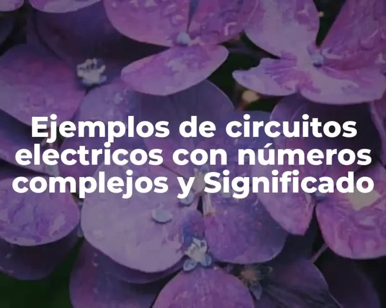 Ejemplos de circuitos electricos con números complejos y Significado