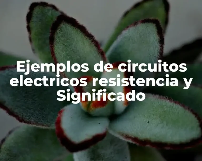 Ejemplos de circuitos electricos resistencia y Significado