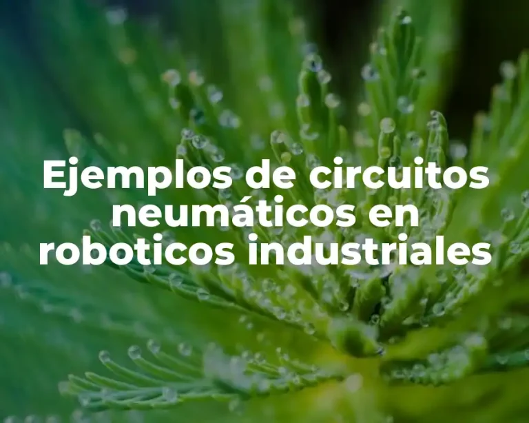 Ejemplos de circuitos neumáticos en roboticos industriales