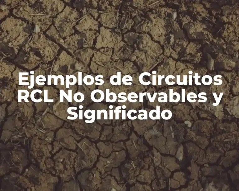 Ejemplos de Circuitos RCL No Observables y Significado