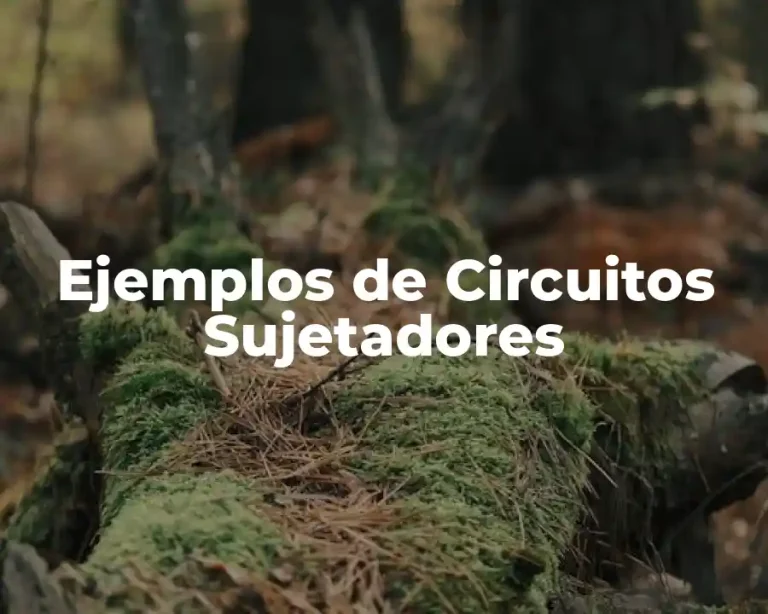 Ejemplos de Circuitos Sujetadores