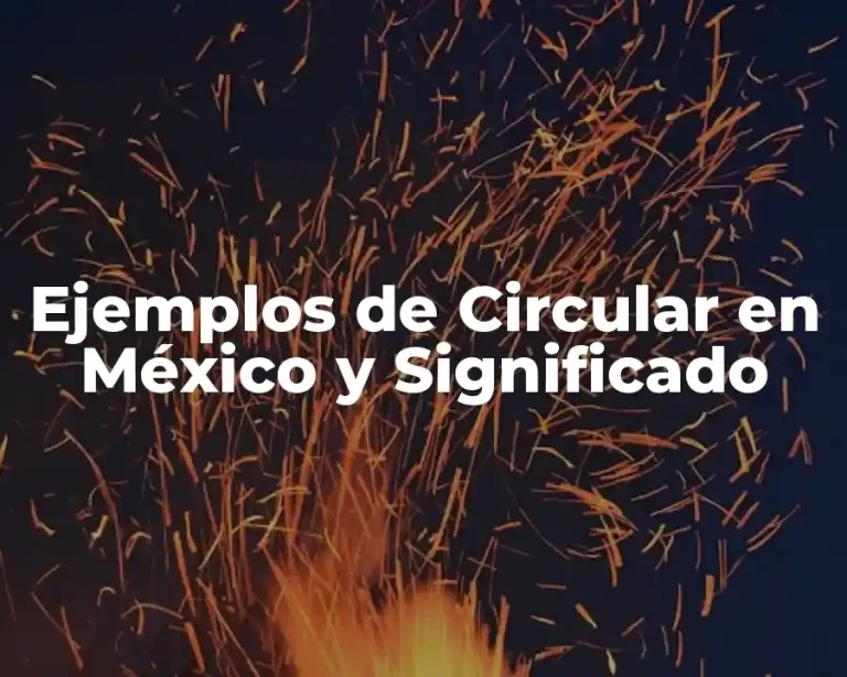 Ejemplos de Circular en México y Significado