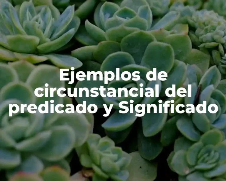 Ejemplos de circunstancial del predicado y Significado