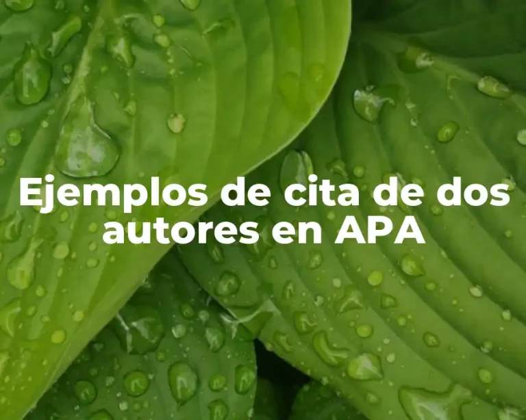 Ejemplos de cita de dos autores en APA