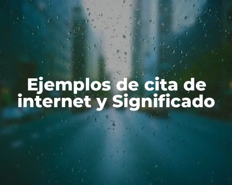 Ejemplos de cita de internet y Significado