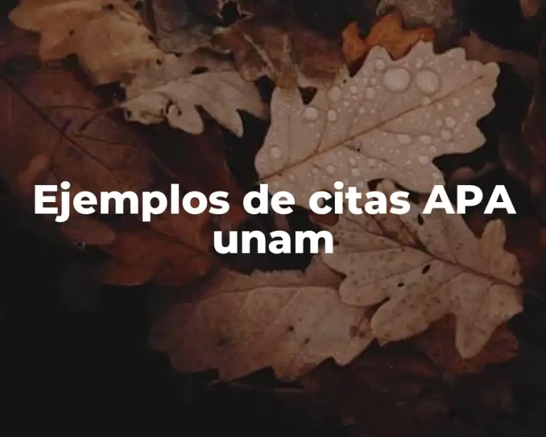 Ejemplos de citas APA unam