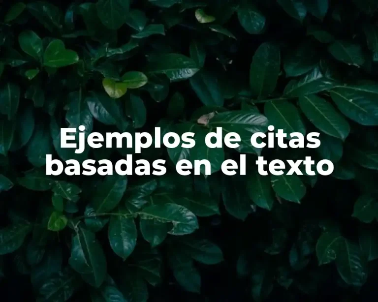 Ejemplos de citas basadas en el texto