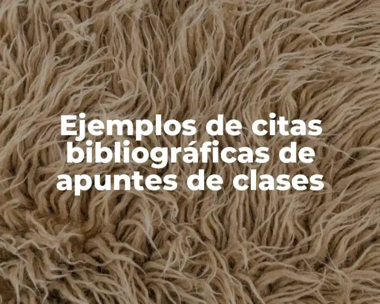Ejemplos de citas bibliográficas de apuntes de clases