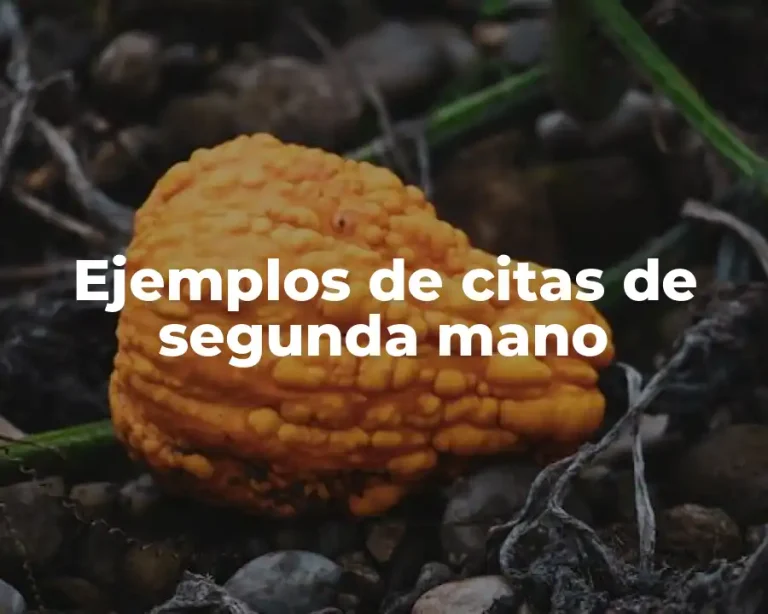 Ejemplos de citas de segunda mano