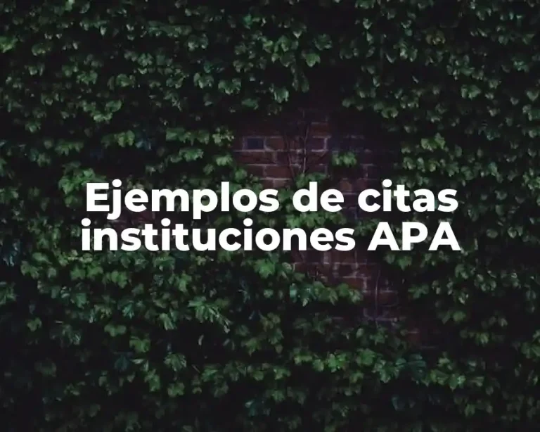 Ejemplos de citas instituciones APA