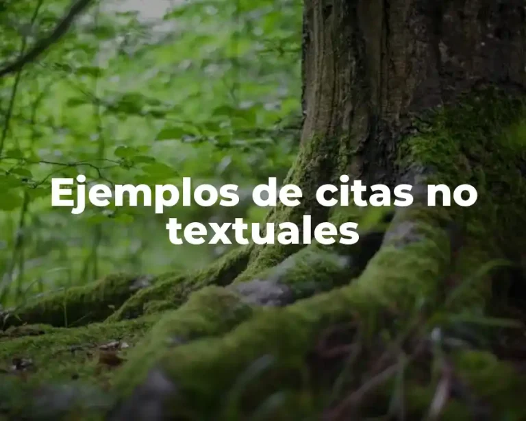 Ejemplos de citas no textuales