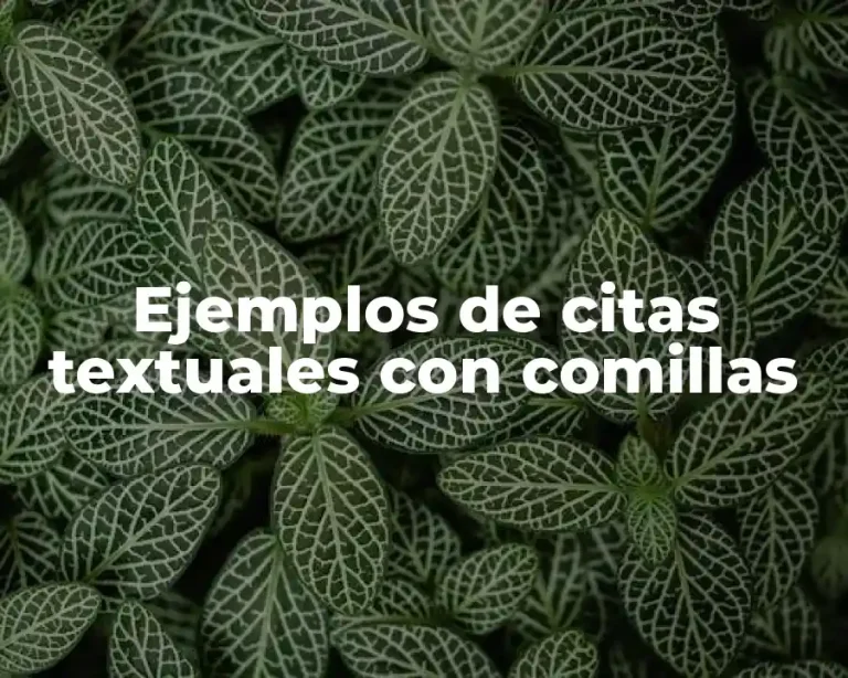 Ejemplos de citas textuales con comillas