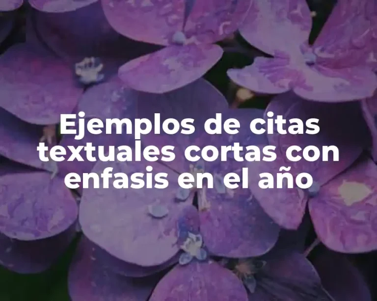 Ejemplos de citas textuales cortas con enfasis en el año