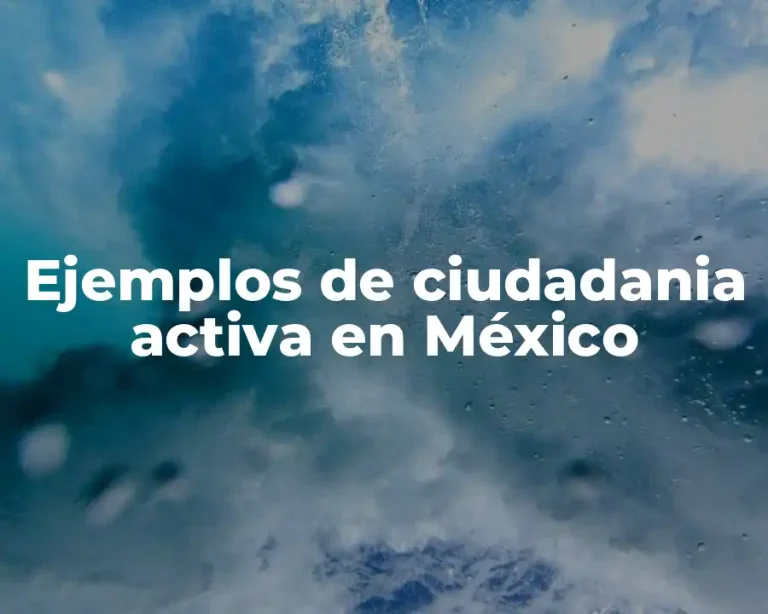 Ejemplos de ciudadania activa en México