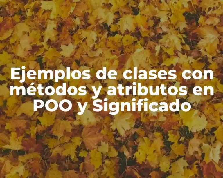 Ejemplos de clases con métodos y atributos en POO y Significado