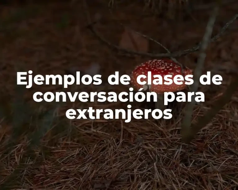 Ejemplos de clases de conversación para extranjeros