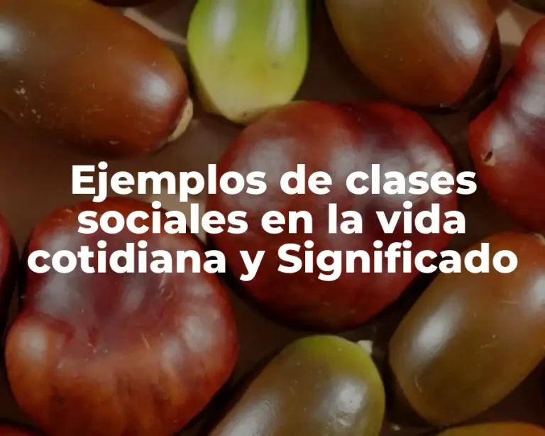Ejemplos de clases sociales en la vida cotidiana y Significado