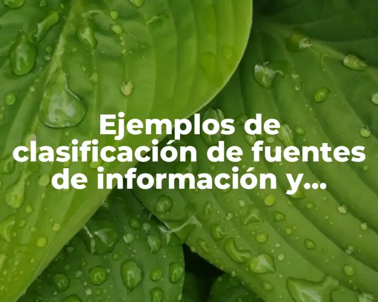 Ejemplos de clasificación de fuentes de información y Significado