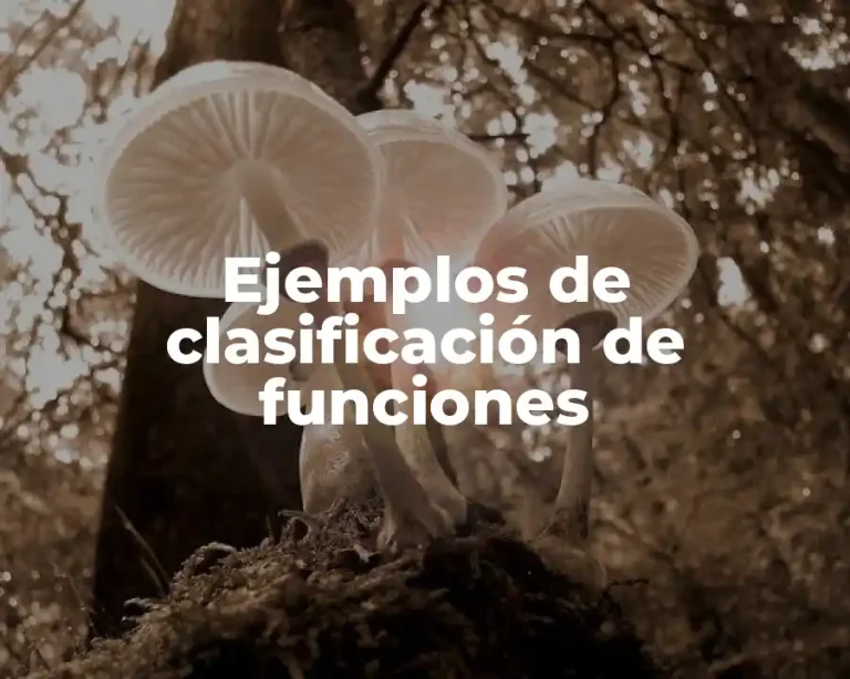 Ejemplos de clasificación de funciones