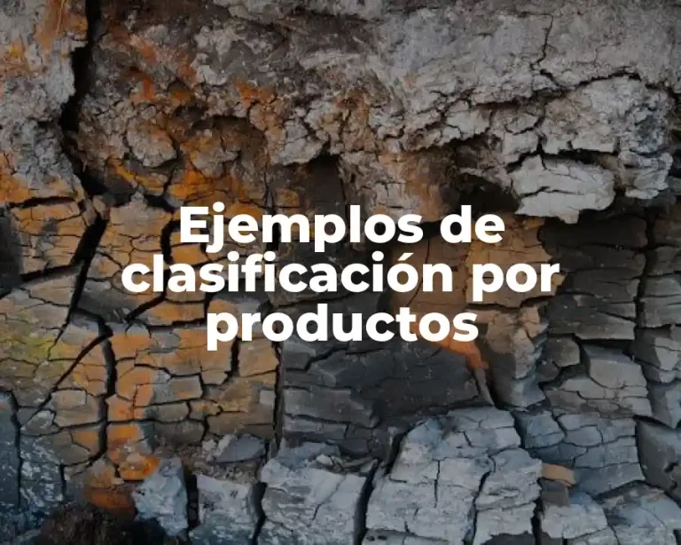 Ejemplos de clasificación por productos