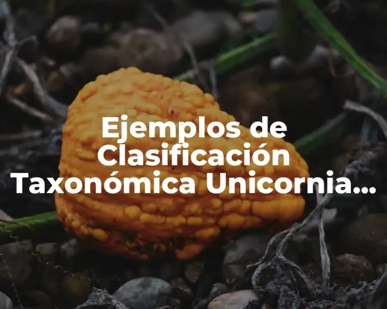 Ejemplos de Clasificación Taxonómica Unicornia Tomentosa