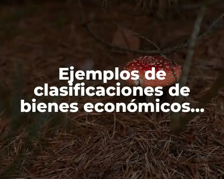 Ejemplos de clasificaciones de bienes económicos superiores