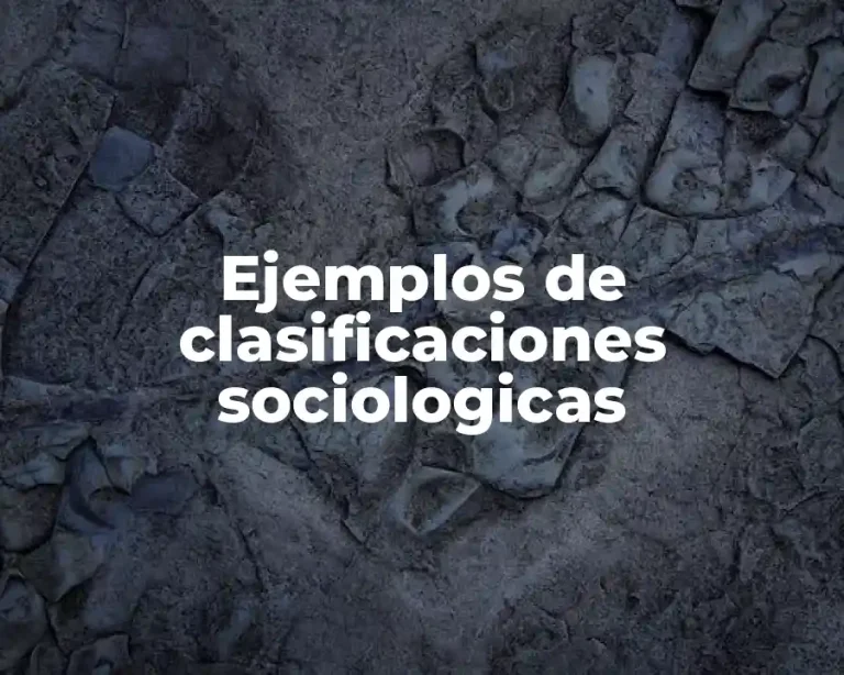 Ejemplos de clasificaciones sociologicas