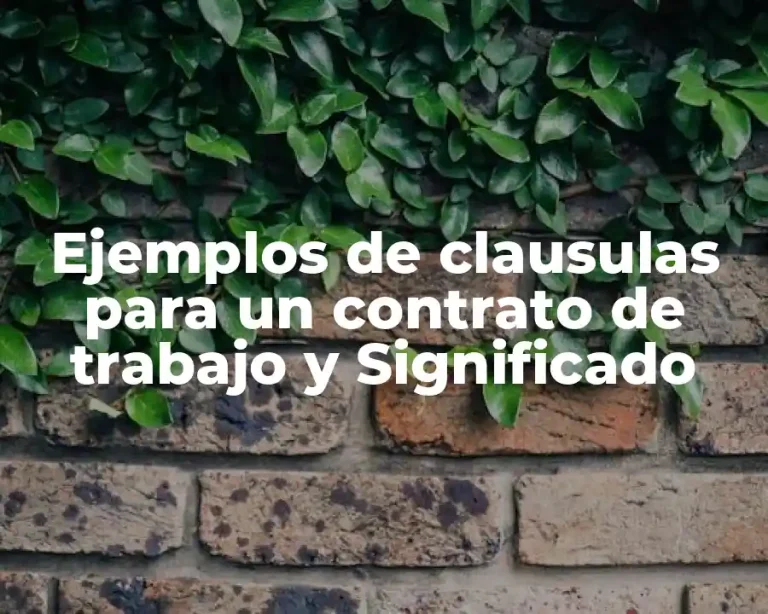 Ejemplos de clausulas para un contrato de trabajo y Significado