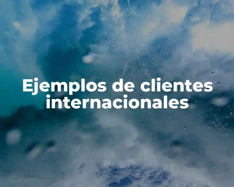 Ejemplos de clientes internacionales
