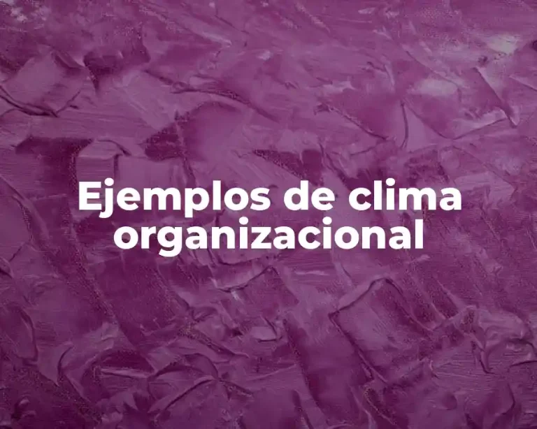 Ejemplos de clima organizacional